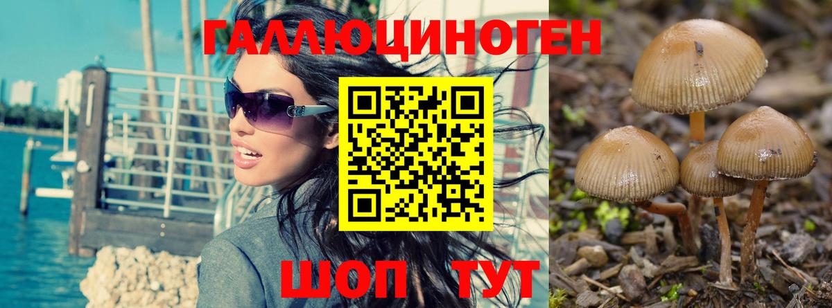 Псилоцибиновые грибы Magic Shrooms Усолье-Сибирское